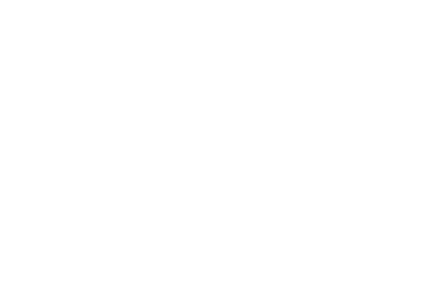 Niederlag Consulting